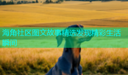 海角社区图文故事精选发现精彩生活瞬间